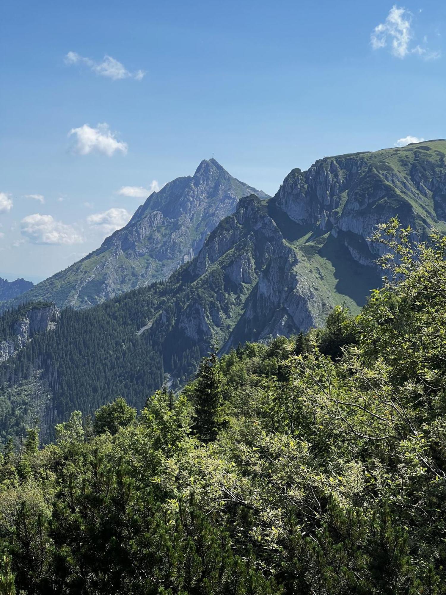 Apartamenty Goralski Dach Nad Glowa Poronin Extérieur photo
